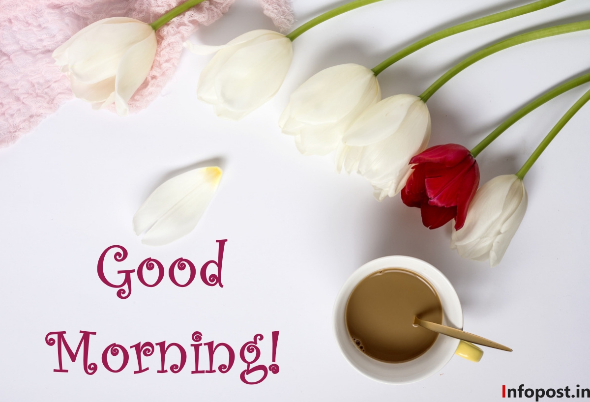 Long Distance Good Morning Messages