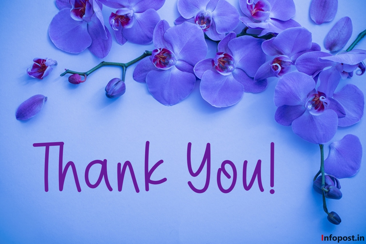 Thank You Messages for Housewarming Wishes