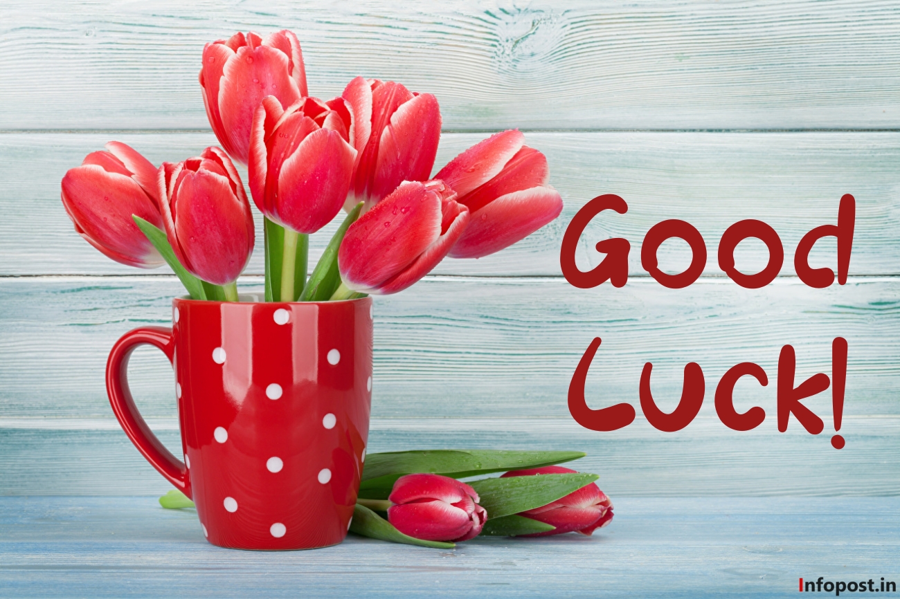 Good Luck Messages for Job Interview