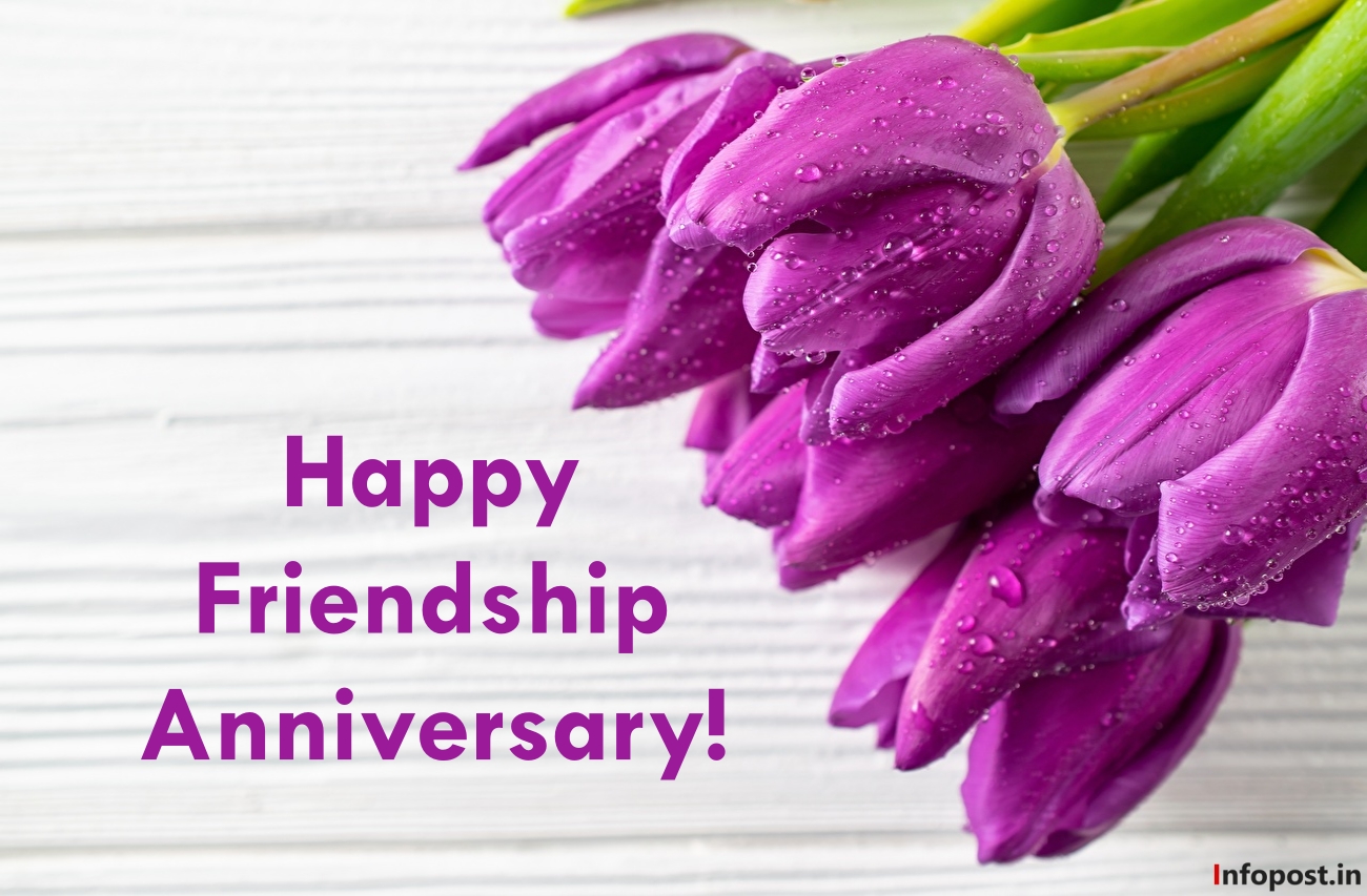 Friendship Anniversary Wishes