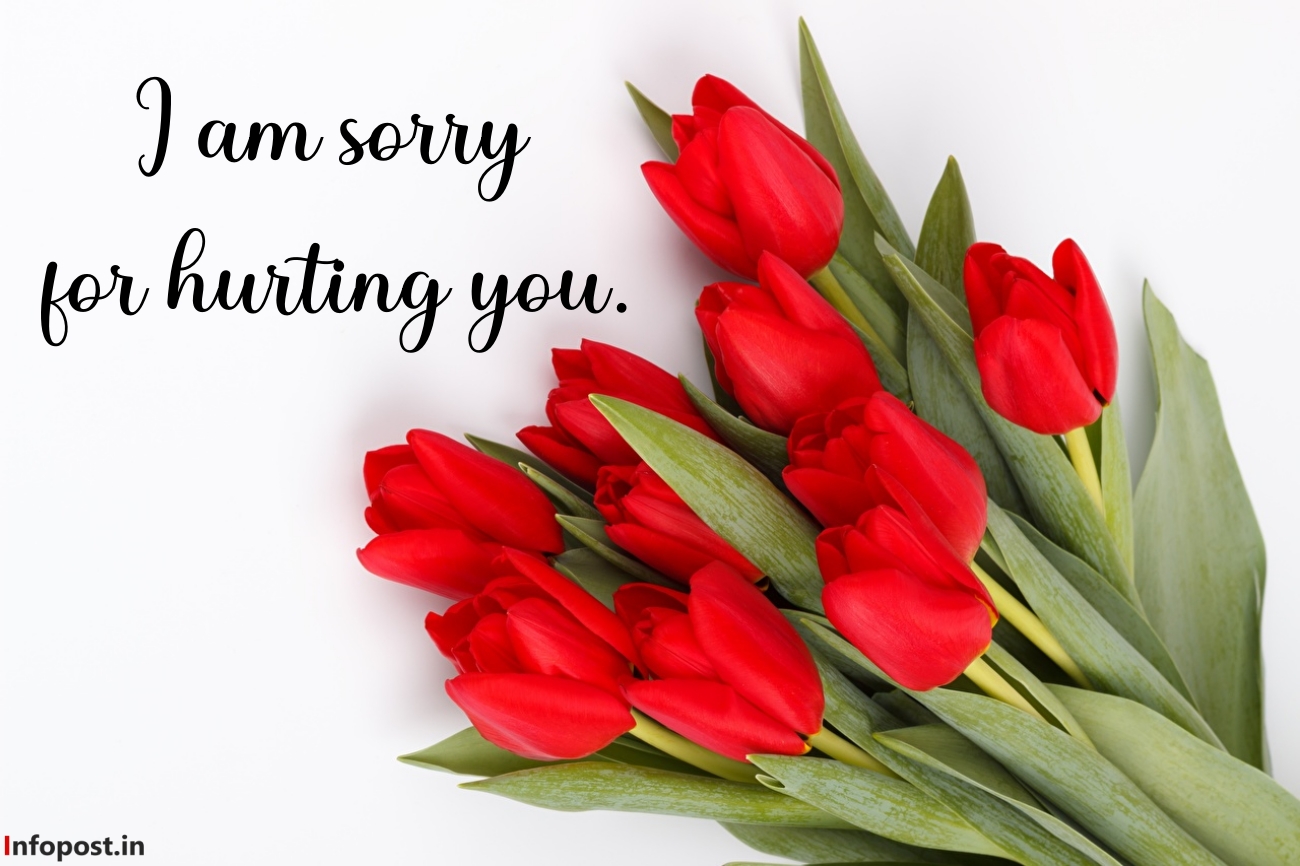 I am Sorry Messages for Wife