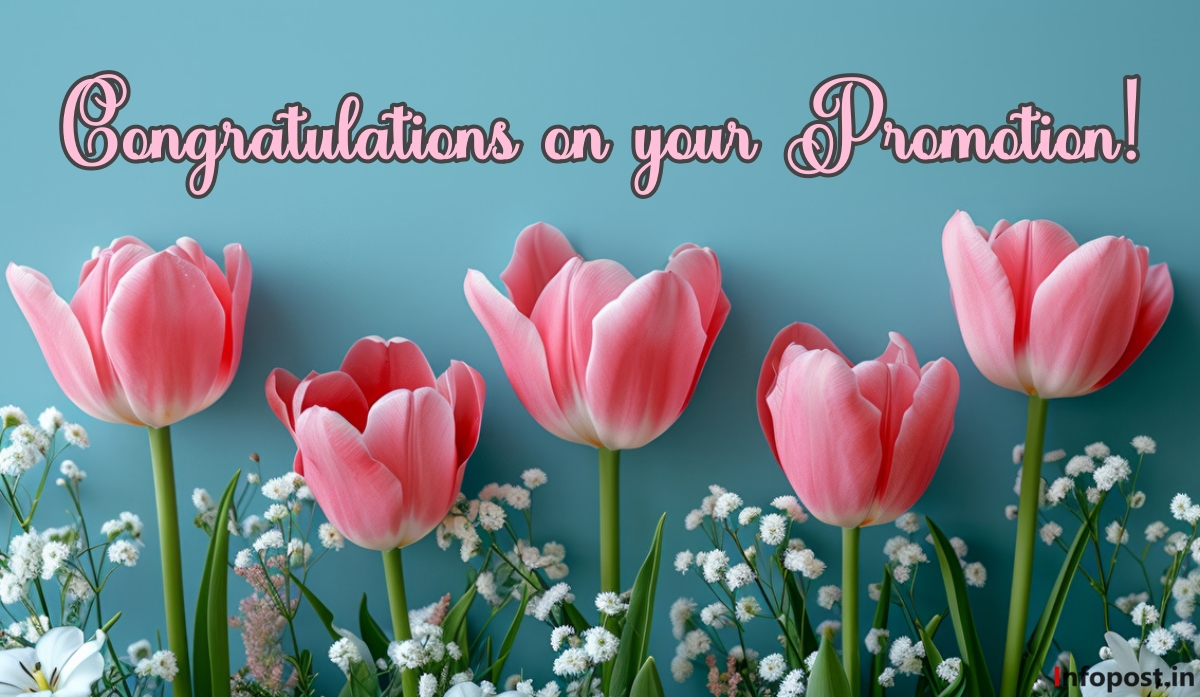 Congratulations on your Promotion