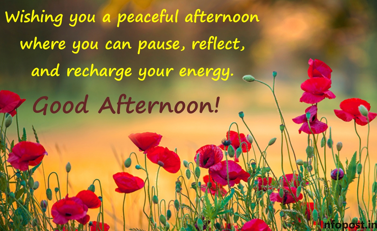 Good Afternoon Wishes