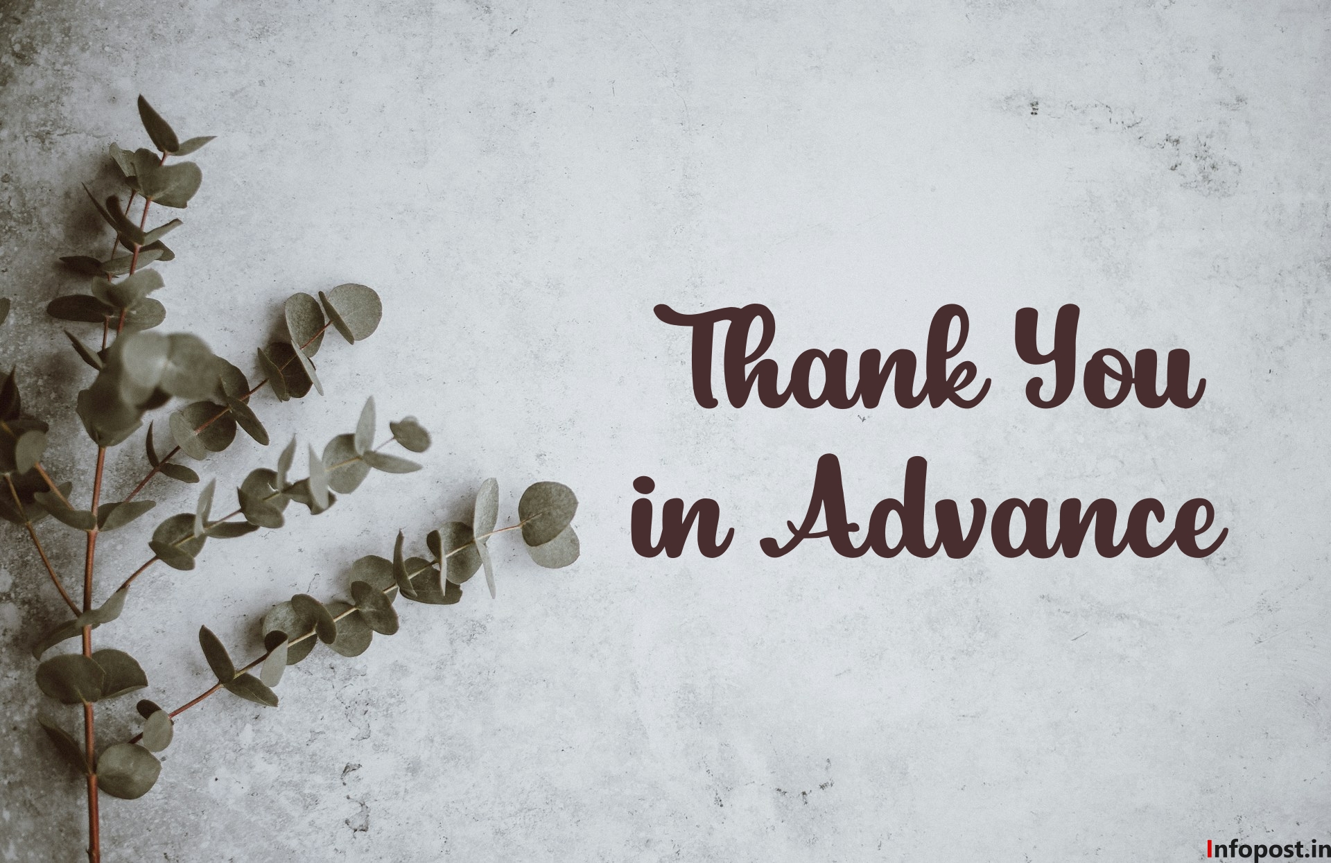 Thank You in Advance Messages